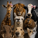 XAnimals