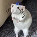 MOUSHE