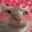 fren