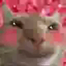 fren