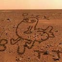 DICK BUTT