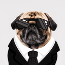 PUGGDIFF