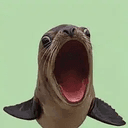 POPSEAL