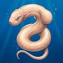Fishdick