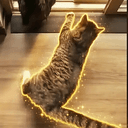 GUS