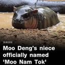 MOO NAM TAK