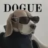 Dogue