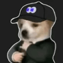 fomodawg
