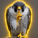 falcon