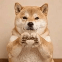 DOGE