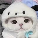 Pandakitty
