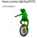 DAT BOI