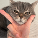 vCAT