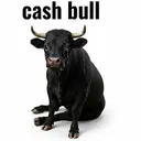 CASHBULL