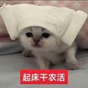 小农咪
