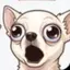 POPDOG