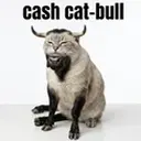 cashcatbull