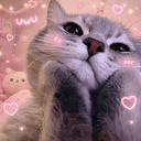 Awh