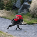 US