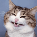 Rexie