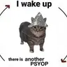 psyopcat