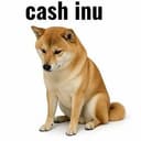 CASHINU