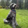 BENNY