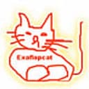 Exaflopcat