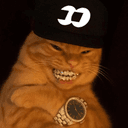 fomocat