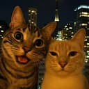 SelfieCat