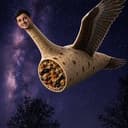 VBLNB