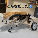 リコ