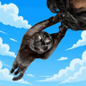 HODL