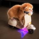 vespacat