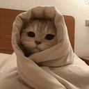 MORNING