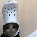 Croc