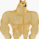 GIGADOGE