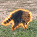 TPT