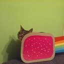 Marty