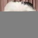 KATT
