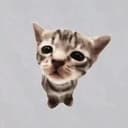 gatito