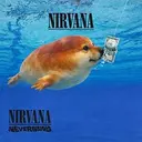 nirvanaDog