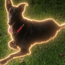 FIFI