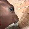 Mmm