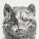 SILVERINU