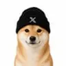 XDOG