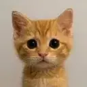 Neko