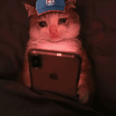 sadcat