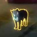 BD