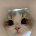 HEXACAT2